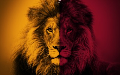 顺发体育独家-对手主帅：防不住维蒂尼亚的传球