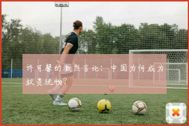 许可馨的激烈言论：中国为何成为权贵玩物？