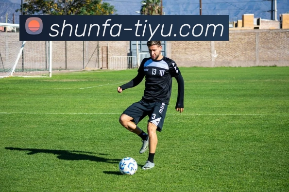 顺发体育中国平台生态图