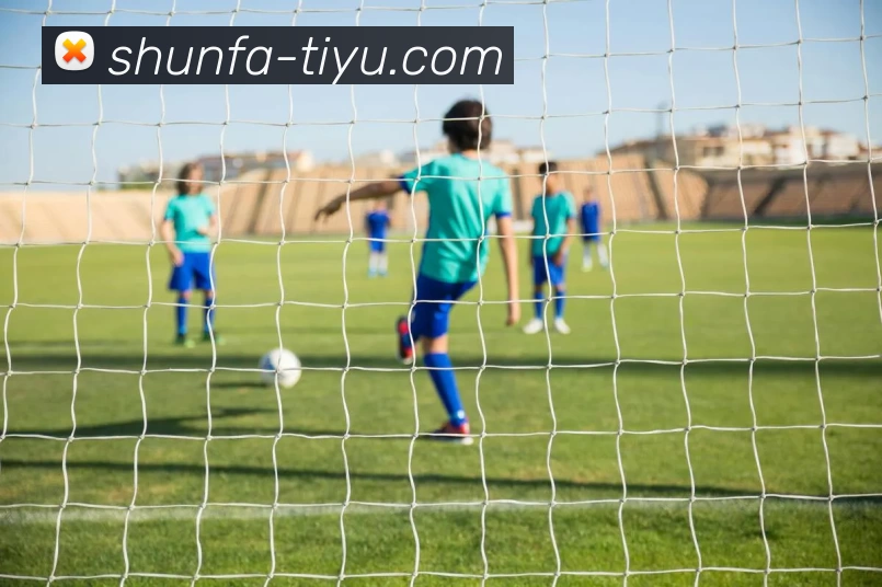 顺发体育中国APP 封面图